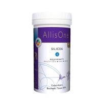 AllisOne Silicea 180's