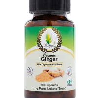 Nattrend Ginger 90's