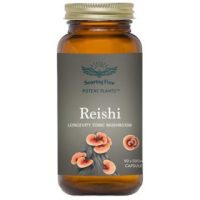 Soaring Free Reishi 90's