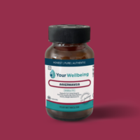 Your Wellbeing Akkermansia 30 capsules